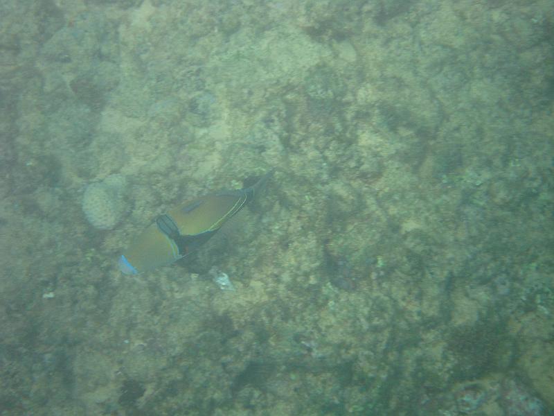 Picture 059